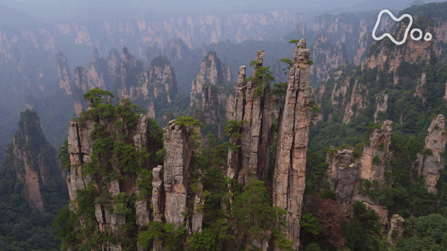 絶景 巨大石柱林～中国・張家界を鳥観する～ 動画