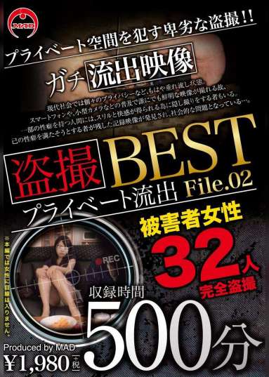 盗撮 プライベート流出500分 BEST File.02