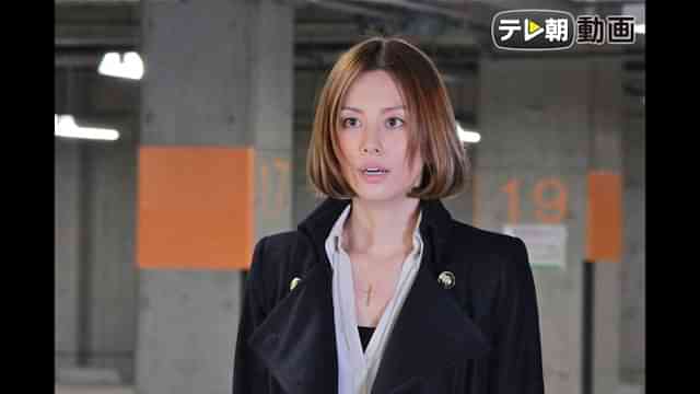 「ナサケの女～国税局査察官～」の動画視聴・あらすじ UNEXT