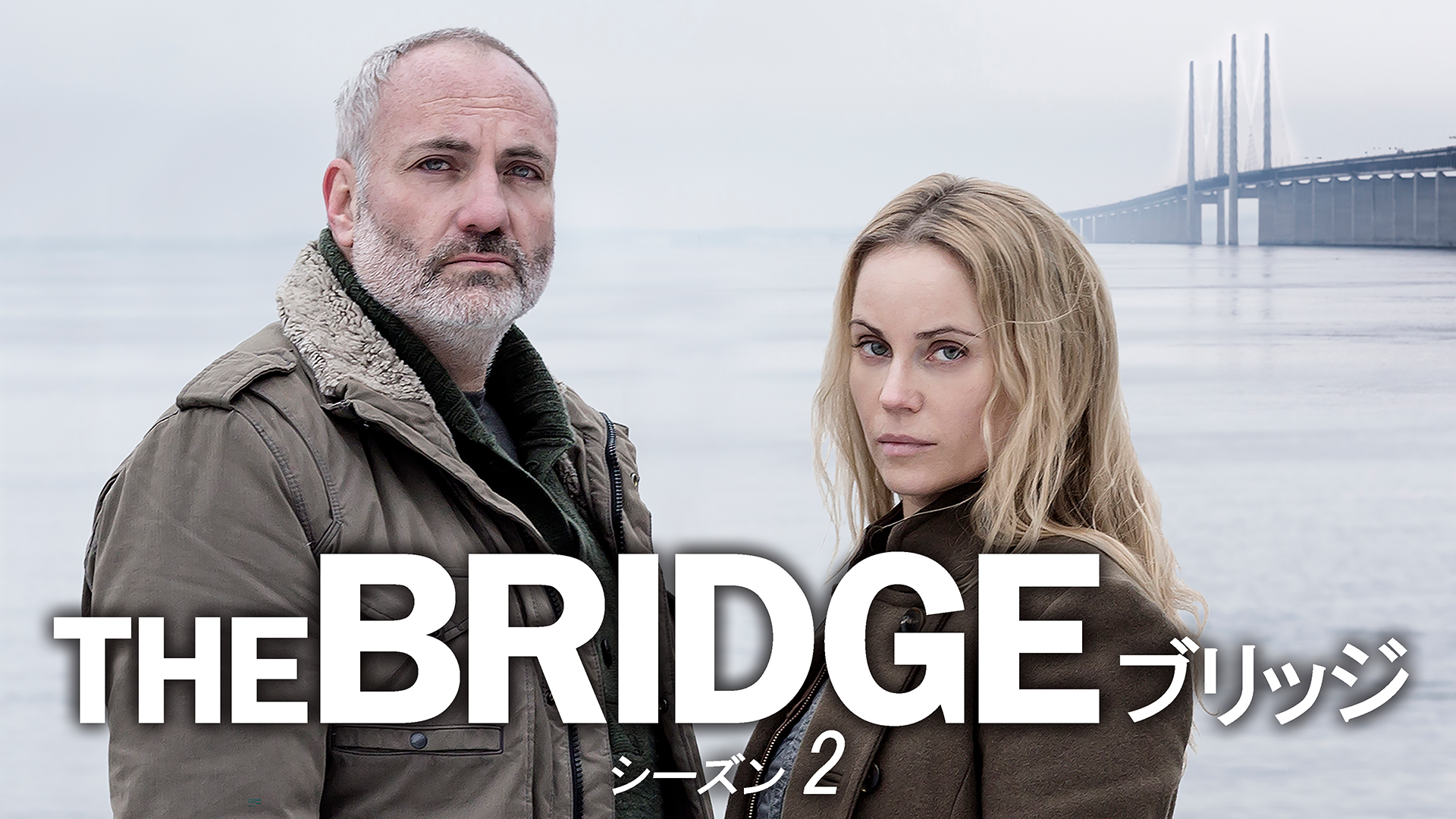 THE BRIDGE／ブリッジ シーズン2 動画