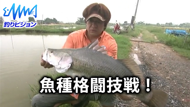 魚種格闘技戦！ 動画