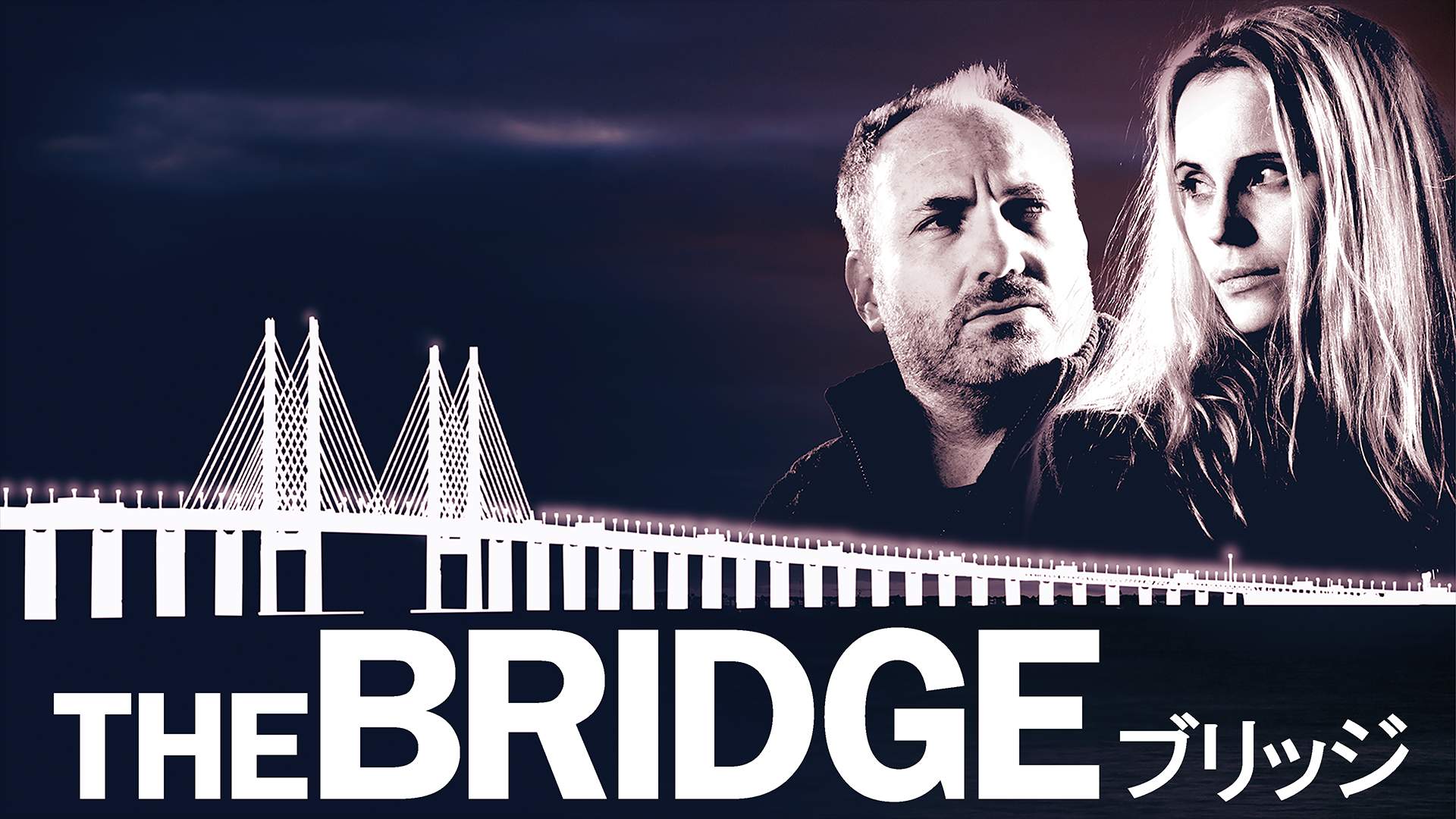 THE BRIDGE／ブリッジ シーズン1 動画