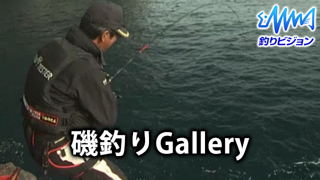 磯釣りGallery 動画