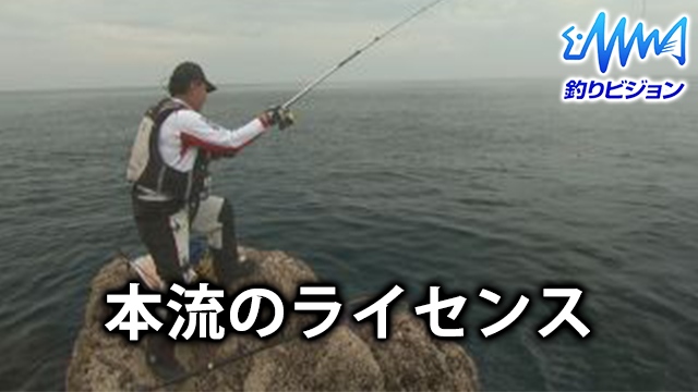 本流のライセンス 動画