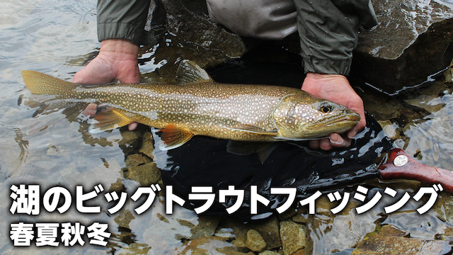 湖のビッグトラウトフィッシング  春夏秋冬 動画