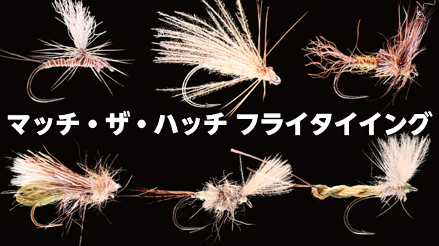 Match The Hatch Fly Tying マッチ・ザ・ハッチ フライ・タイイング 動画