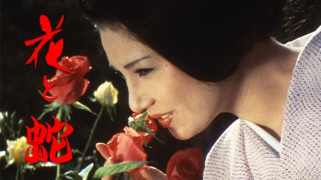 花と蛇(1974) 動画