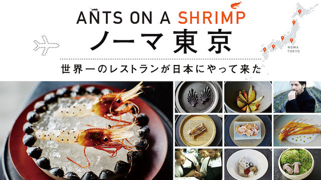 ノーマ東京 世界一のレストランが日本にやって来た 動画
