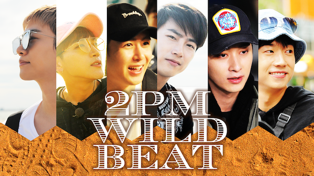 2PM WILD BEAT 動画
