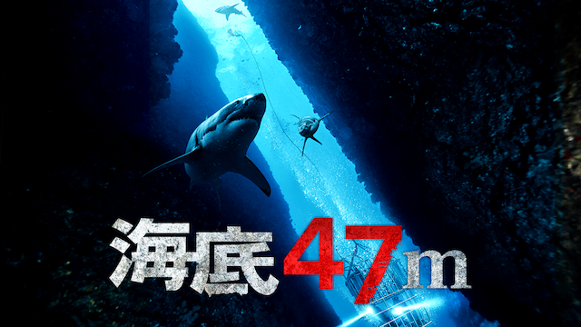 海底47m 動画