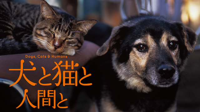 犬と猫と人間との動画 - 犬と猫と人間と2 動物たちの大震災