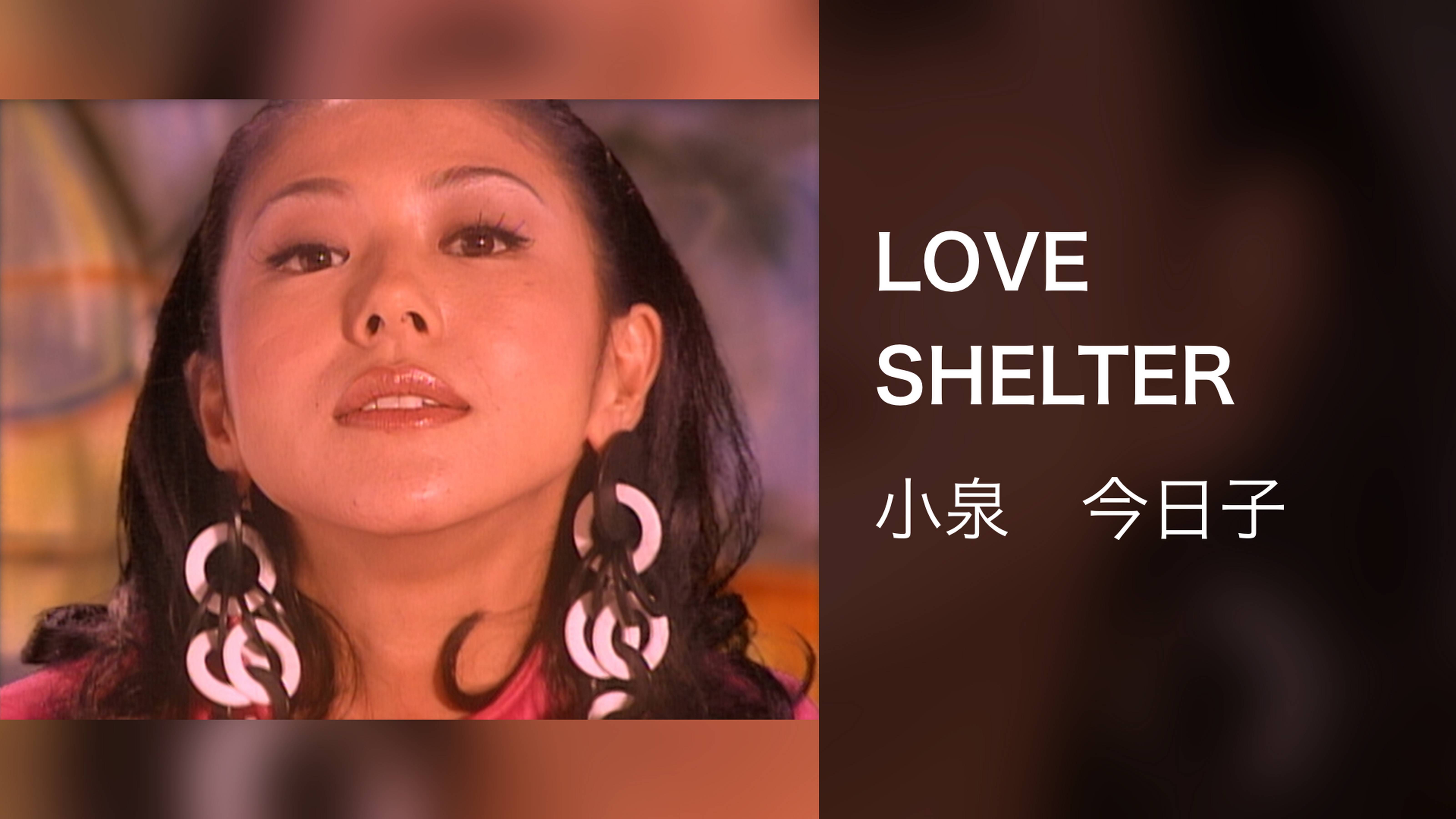 LOVE SHELTER