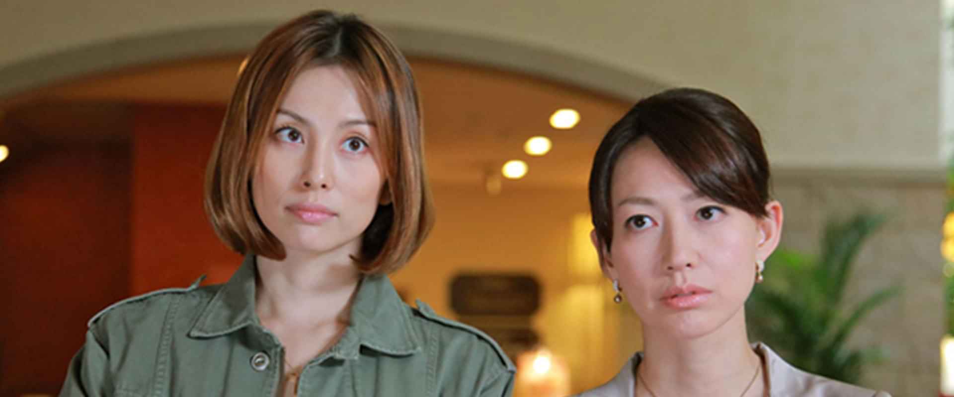 「ナサケの女～国税局査察官～」の動画視聴・あらすじ UNEXT