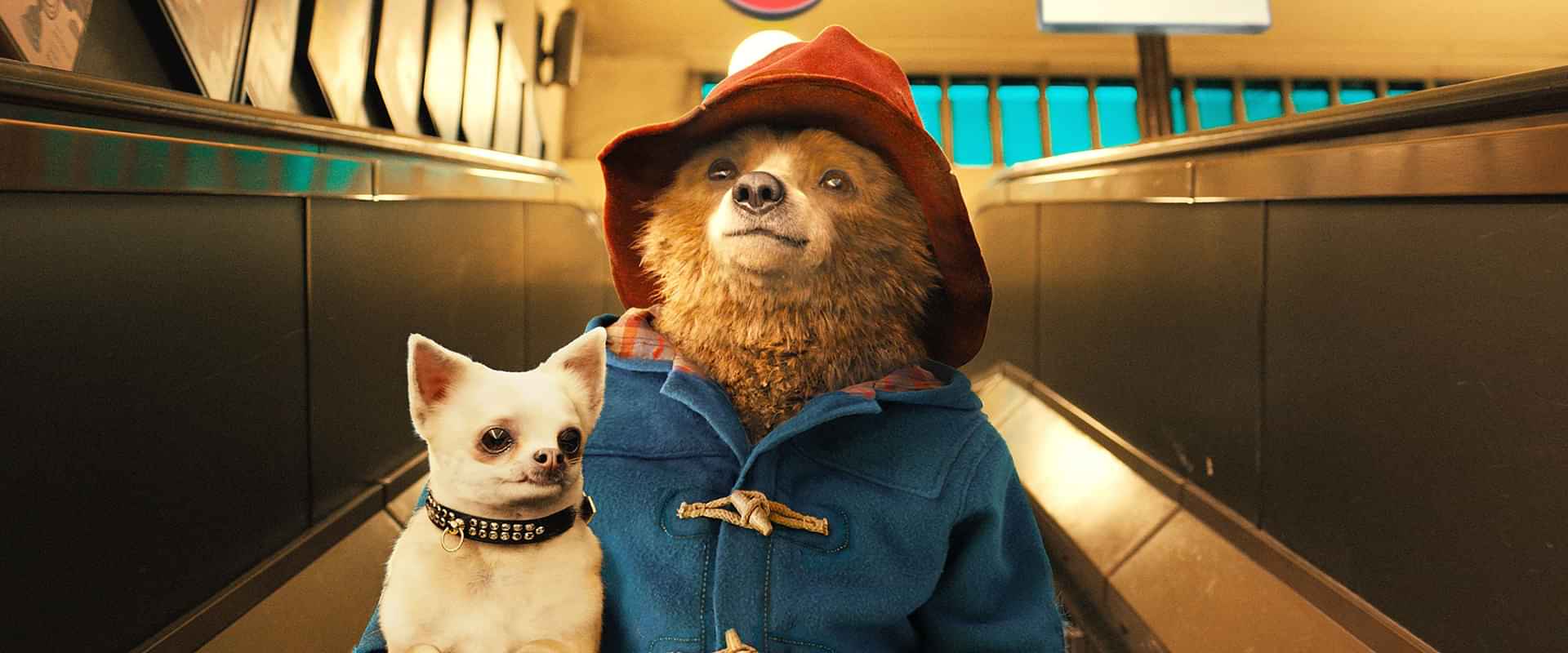 「パディントン 」の動画視聴・あらすじ UNEXT