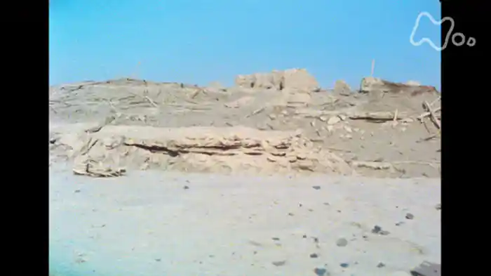 第 5集 楼蘭王国を掘る