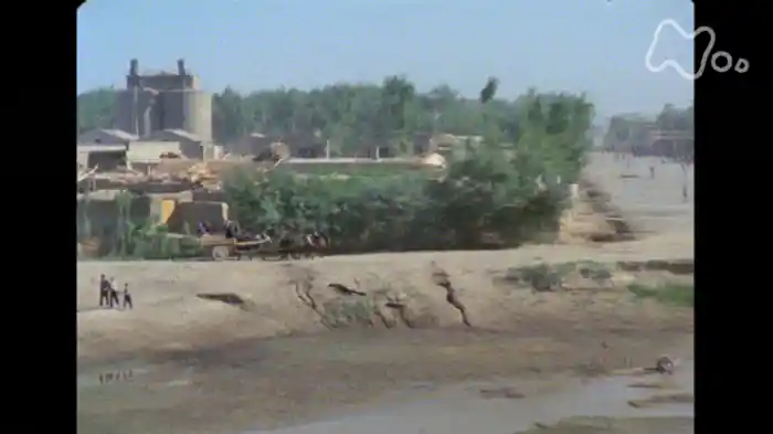 第 6集 流砂の道 ~西域南道2000キロ~