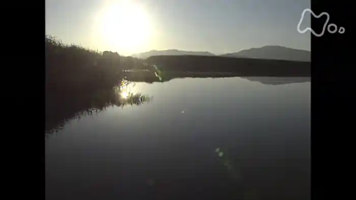 第１シリーズ　第１回　湖西のみち・韓のくに紀行