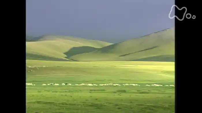 第１シリーズ　第２回　モンゴル紀行