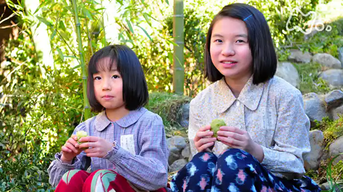 ふるさとは安来