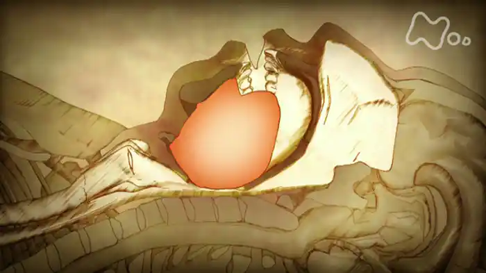 NHKスペシャル 病の起源 1 睡眠時無呼吸症 ~石器が生んだ病~