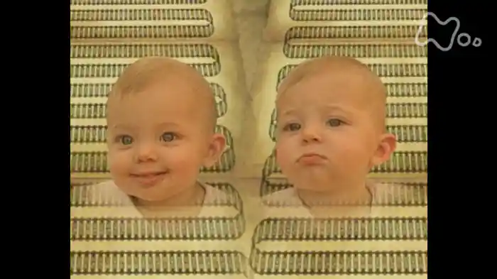 NHKスペシャル 驚異の小宇宙 人体3 遺伝子・DNA 第5集 秘められたパワーを発揮せよ ~精神の設計図~