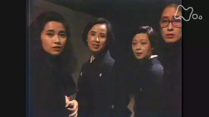虞美人草