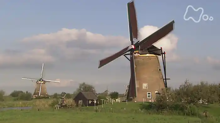 第２シリーズ　第１回　オランダ紀行