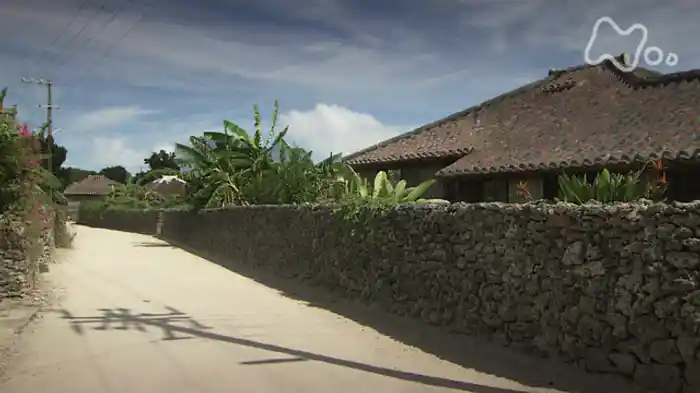 第２シリーズ　第２回　沖縄・先島への道