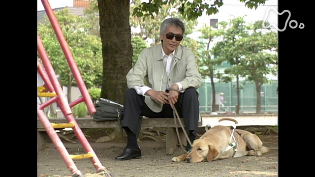 盲導犬クイールの一生(国内ドラマ / 2003) - 動画配信 | U-NEXT 31日間無料トライアル