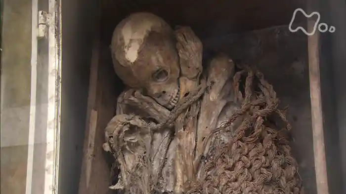 NHKスペシャル 失われた文明 インカ・マヤ 第1集 アンデス ミイラと生きる