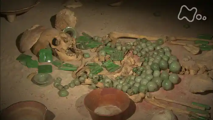 NHKスペシャル 失われた文明 インカ・マヤ 第3集 密林が生んだ二千年の王国