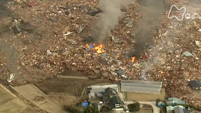 NHKスペシャル 巨大津波 その時ひとはどう動いたか