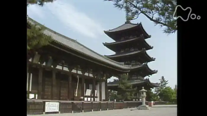 天平のアイドル・阿修羅　～奈良・興福寺～