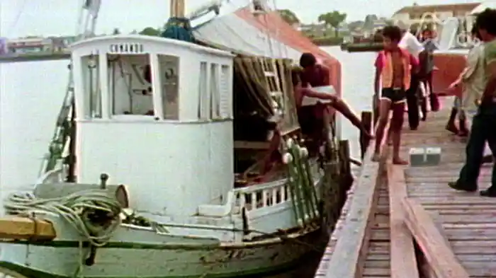 ポロロッカ　アマゾンの大逆流