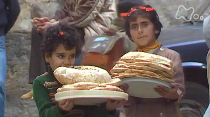 食のルーツ・5万キロの旅