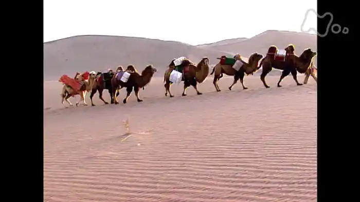 NHKスペシャル 文明の道 第5集 シルクロードの謎 隊商の民 ソグド