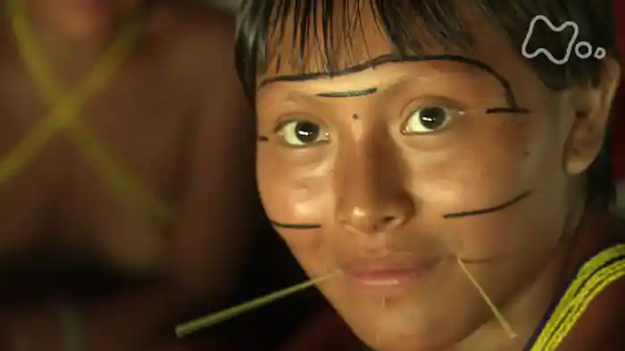 NHKスペシャル ヤノマミ 奥アマゾン 原初の森に生きる