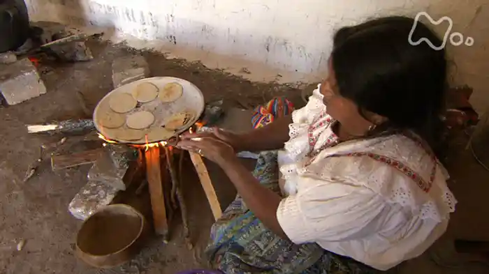 マヤ文明 五千年のメッセージ