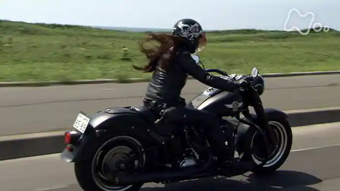 風をきり　北へ～北海道　サロベツから宗谷岬～