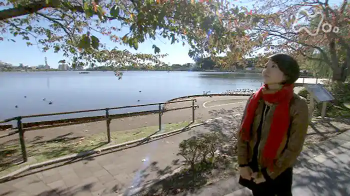 秋深き　再会のとき～茨城県偕楽園公園