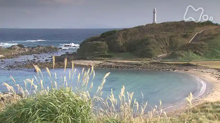 手紙シリーズ　第１回　忘れられないわたしの旅　ふたたび　歩む