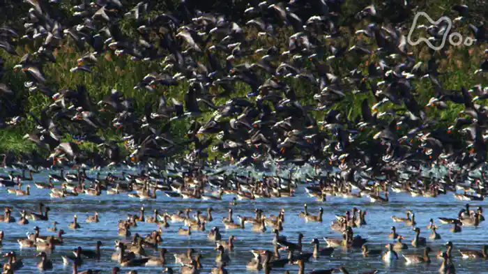 北海道　宮島沼　秋