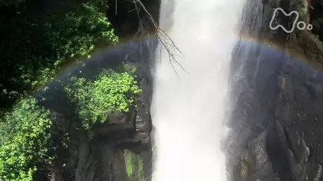 滝がつくる小宇宙　イグアス国立公園（アルゼンチン・ブラジル）