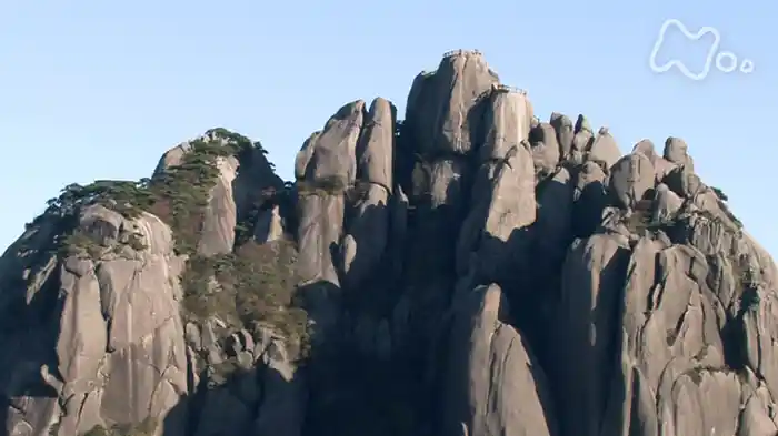 山水の天地に遊ぶ　黄山（中国）