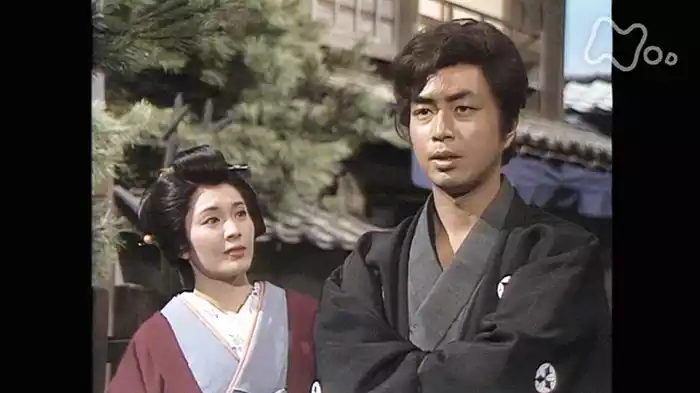 総集編
