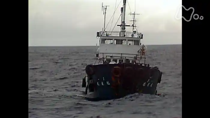 戦艦大和探索　～悲劇の航跡を追って～