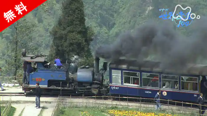 文化遺産　インドの山岳鉄道（ダージリン・ヒマラヤ鉄道）　未編集素材より