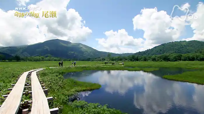 ＮＨＫスペシャル　奇跡の湿原　尾瀬
