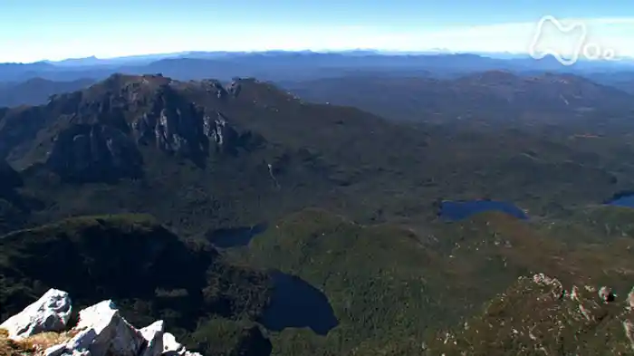 タスマニア10億年の神秘~オーストラリア 赤い海と幻の森~