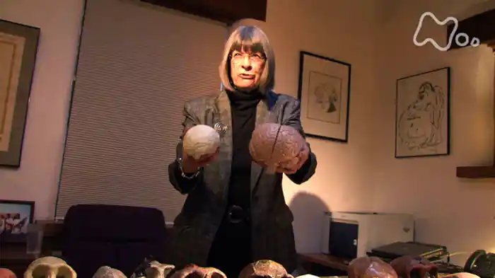 病の起源 脳卒中~早すぎた進化の代償~